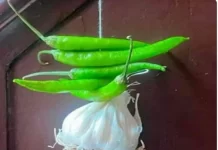 नींबू को लगी महंगाई की नजर और उम्मीद का टोटका…