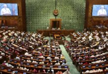 The Arithmetic of Impunity