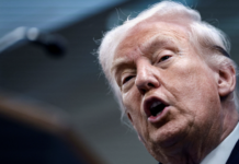 A Portrait in Excess: The Grammar of Power in Donald Trump