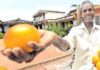 संतरे बेचते थे, स्कूल खुलवा दिया: खुद पढ़ नहीं सके तो गांव के बच्चों की राह बनाई