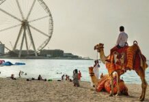 Dubai After the Iran War: Are Indian Entrepreneurs Rethinking Their Great Escape?